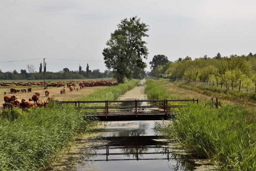 Hubertus Hof Landhotel Balatonfenyves Buitenkant foto